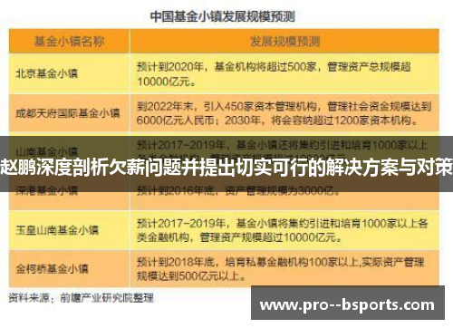 赵鹏深度剖析欠薪问题并提出切实可行的解决方案与对策